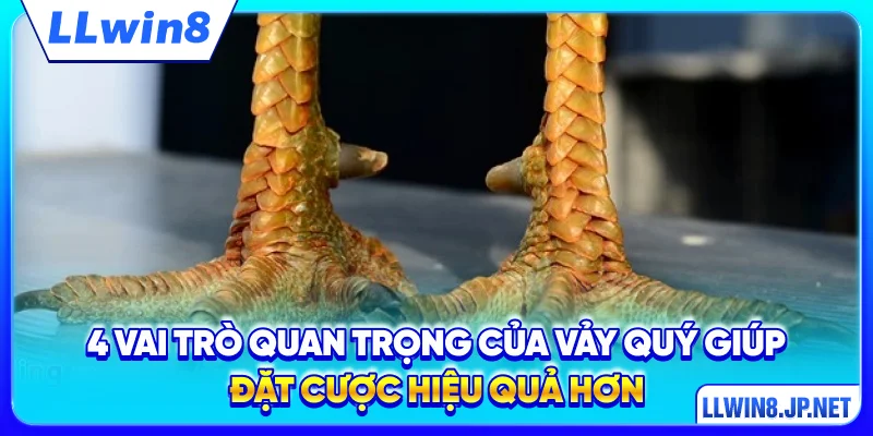 4 vai trò quan trọng của vảy quý giúp đặt cược hiệu quả hơn