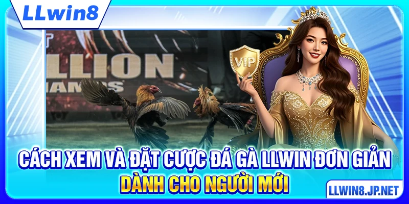 Cách xem và đặt cược đá gà LLWIN đơn giản dành cho người mới