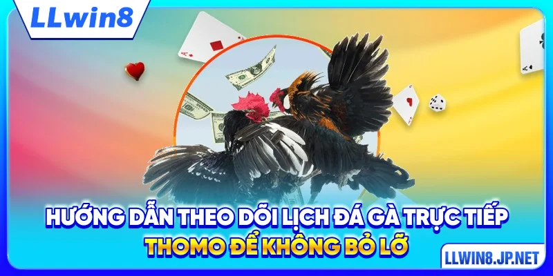 Hướng dẫn theo dõi lịch đá gà trực tiếp Thomo để không bỏ lỡ