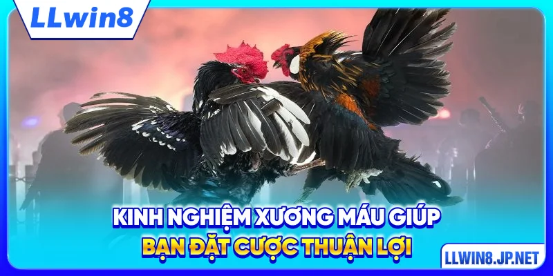 Kinh nghiệm xương máu giúp bạn đặt cược thuận lợi