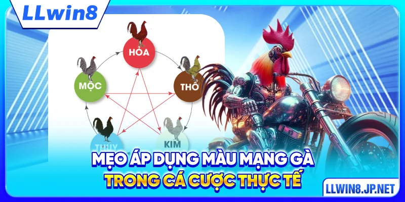 Mẹo áp dụng màu mạng gà trong cá cược thực tế