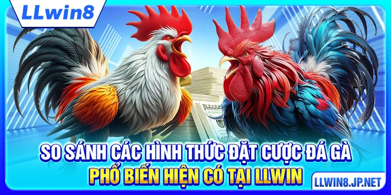 So sánh các hình thức đặt cược đá gà phổ biến hiện có tại LLWIN