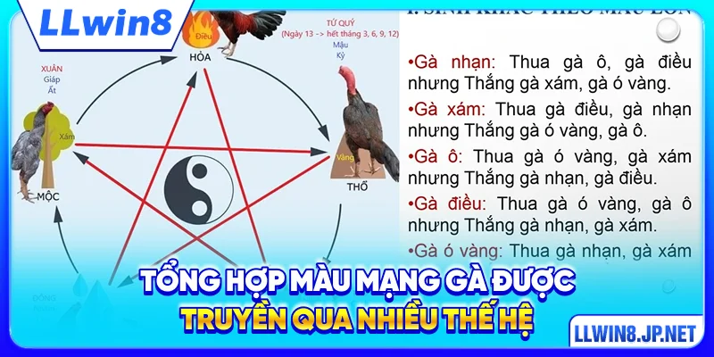 Tổng hợp màu mạng gà được truyền qua nhiều thế hệ 