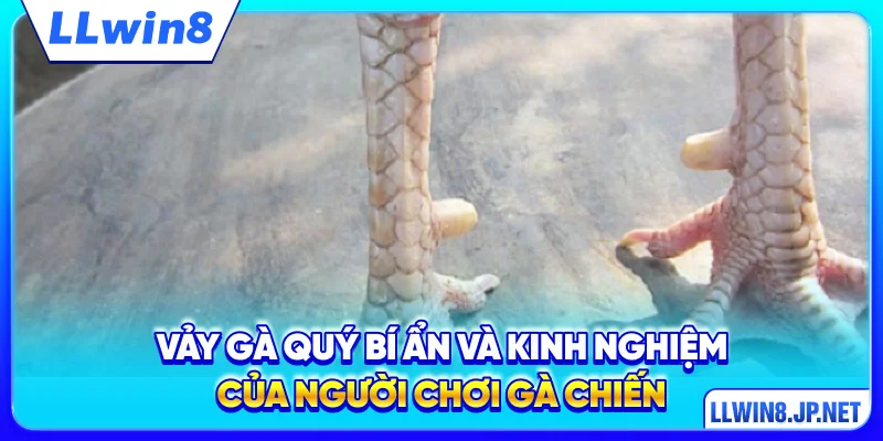 Vảy Gà Quý