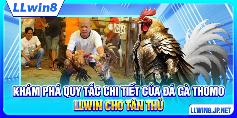 Khám phá quy tắc chi tiết của đá gà Thomo LLWIN cho tân thủ